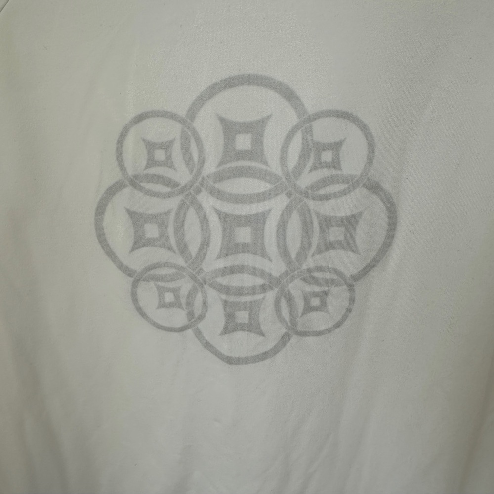 Champion Women's White V-Neck Hoodie Athletic Pullover Top Size Large - Picture 3 of 11